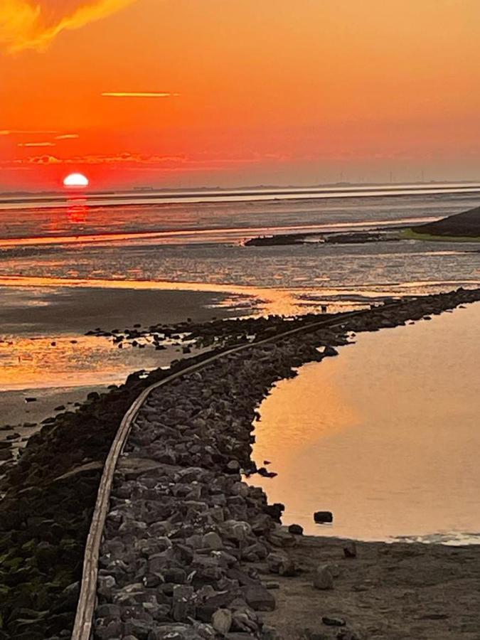 Oosterschelde Lodge Met Veel Privacy En Dicht Bij Het Water Scherpenisse Eksteriør billede