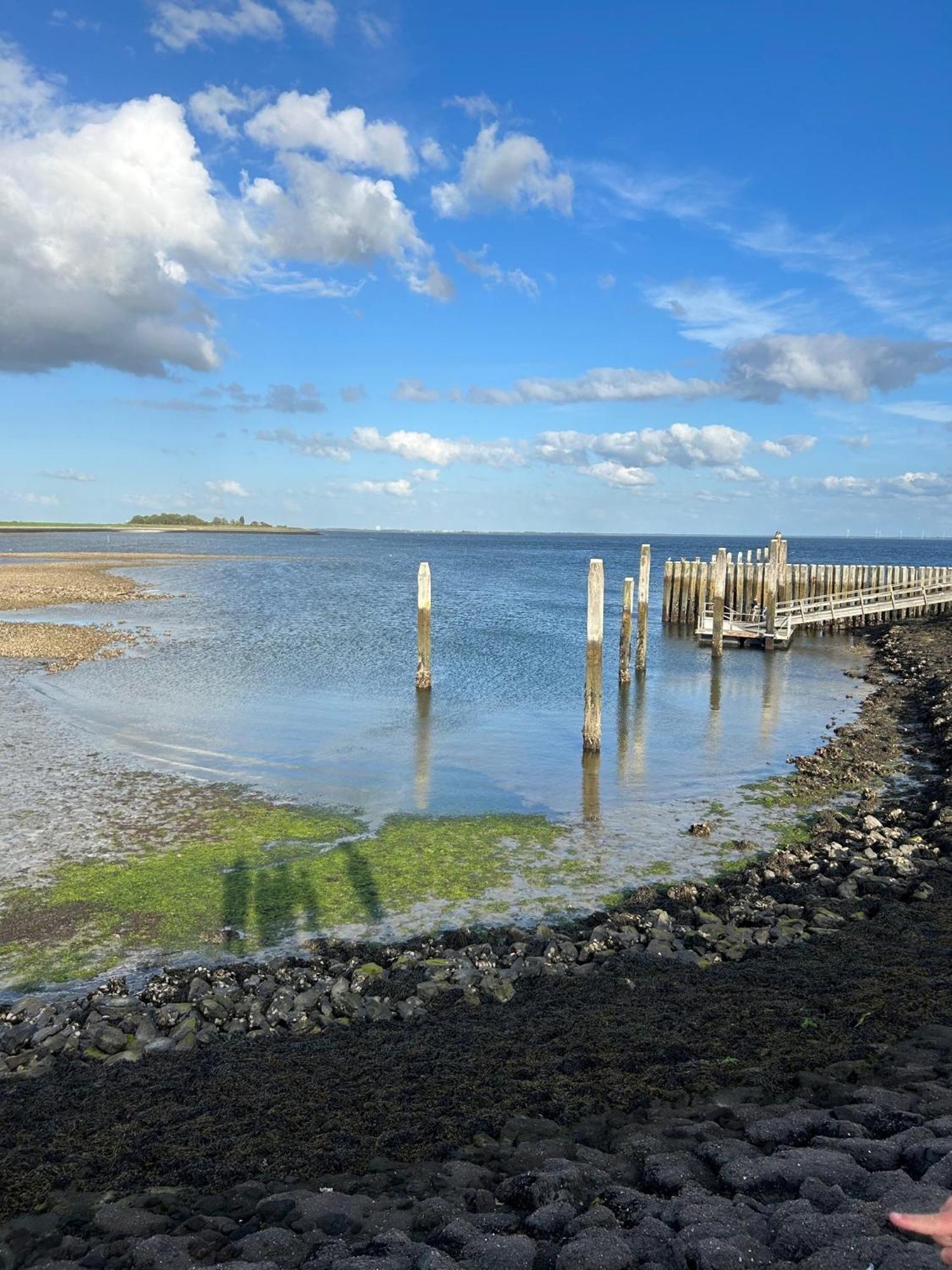 Oosterschelde Lodge Met Veel Privacy En Dicht Bij Het Water Scherpenisse Eksteriør billede